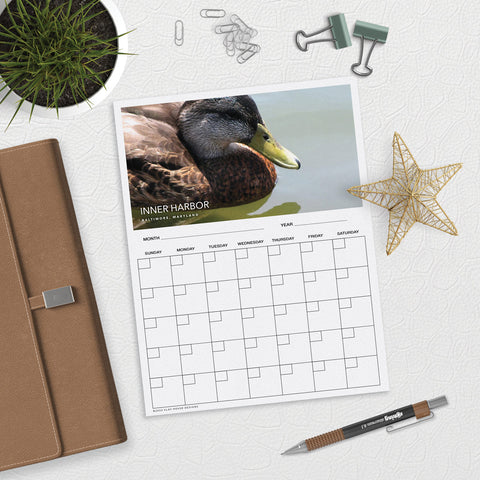 Duck in Calm Waters Desk or Planner Calendar Download