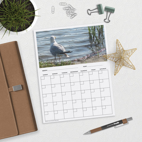 Seagull on the Shore Desk or Planner Calendar Download