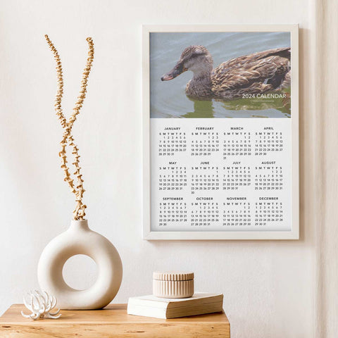 Duck Sailing 2024 Wall Calendar Download