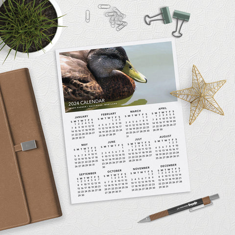 Duck in Calm Waters Desk Style Calendar Download