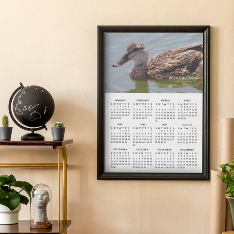 Duck Sailing 2024 Wall Calendar Download